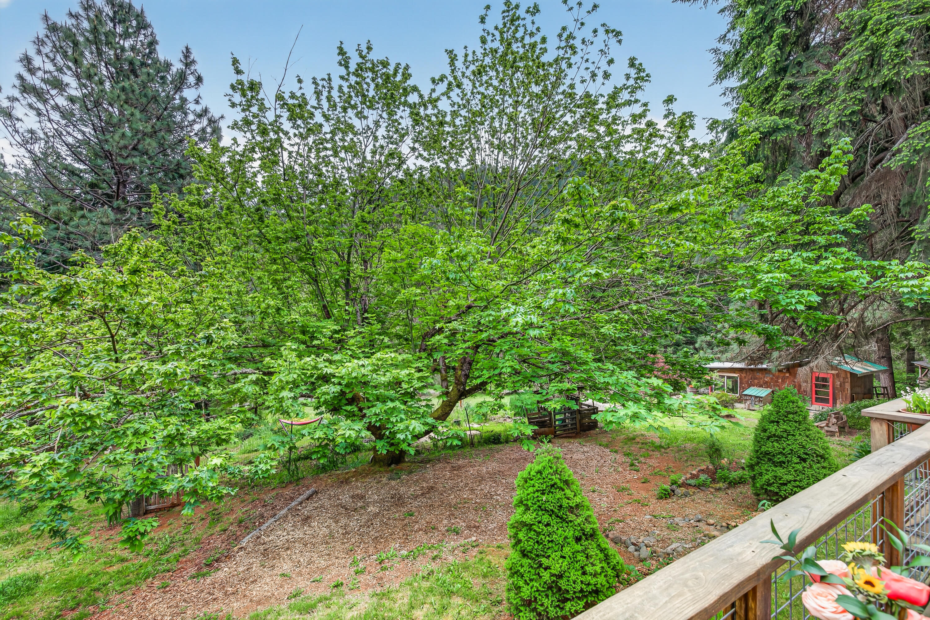 181 Brimstone Road Wolf Creek, OR 97497 - Photo 22 of 72 29-30