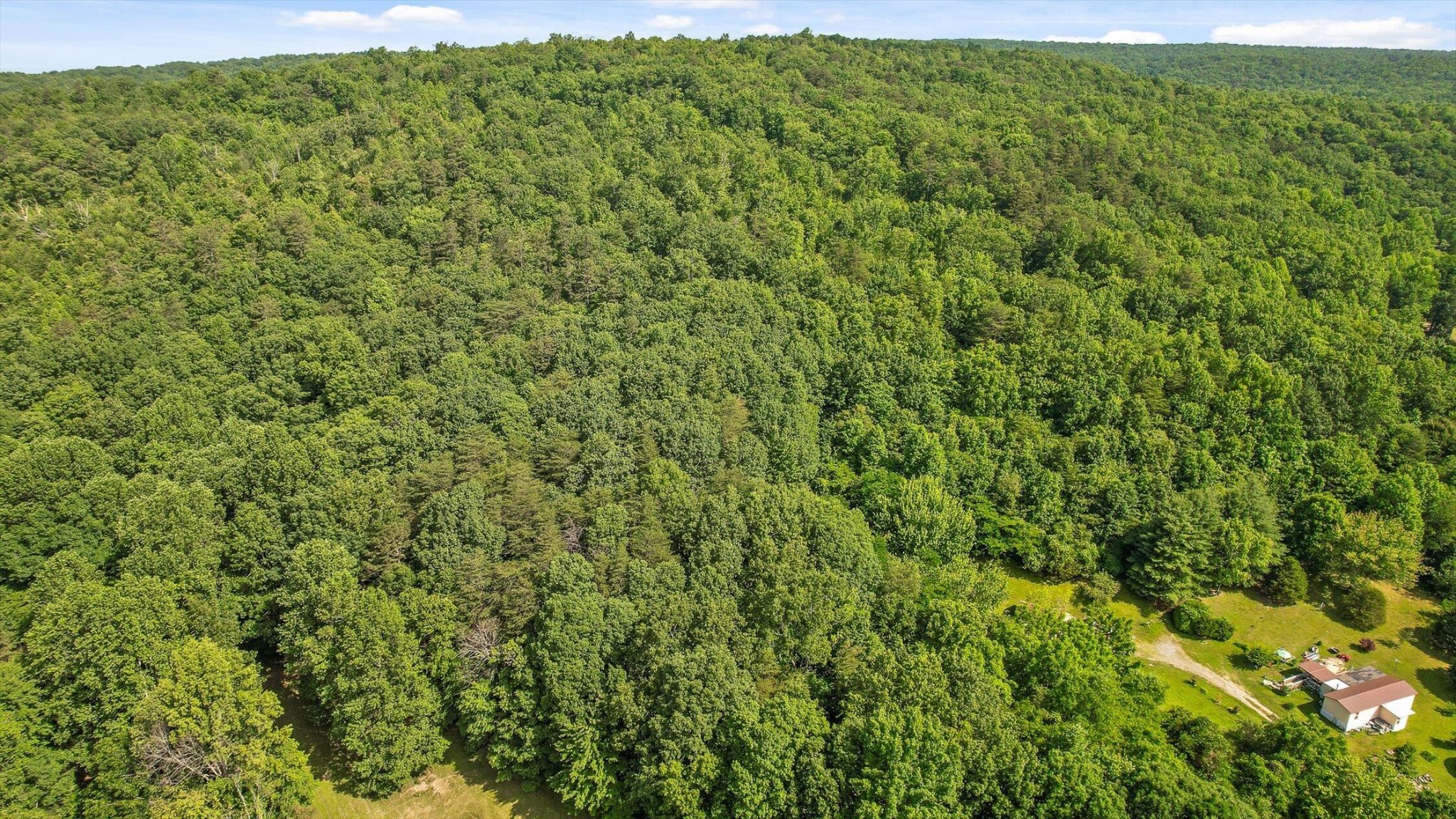 4300 Pocket Road Whitwell, TN 37397 - Photo 20 of 33
