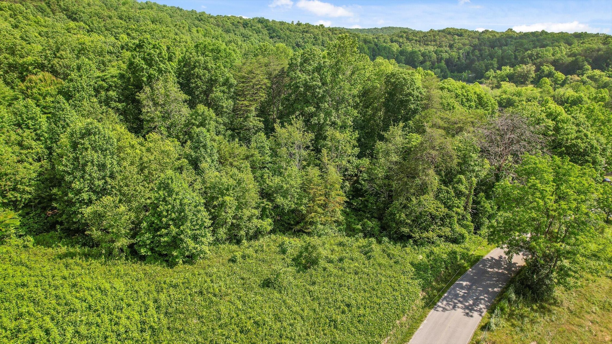 4300 Pocket Road Whitwell, TN 37397 - Photo 27 of 33