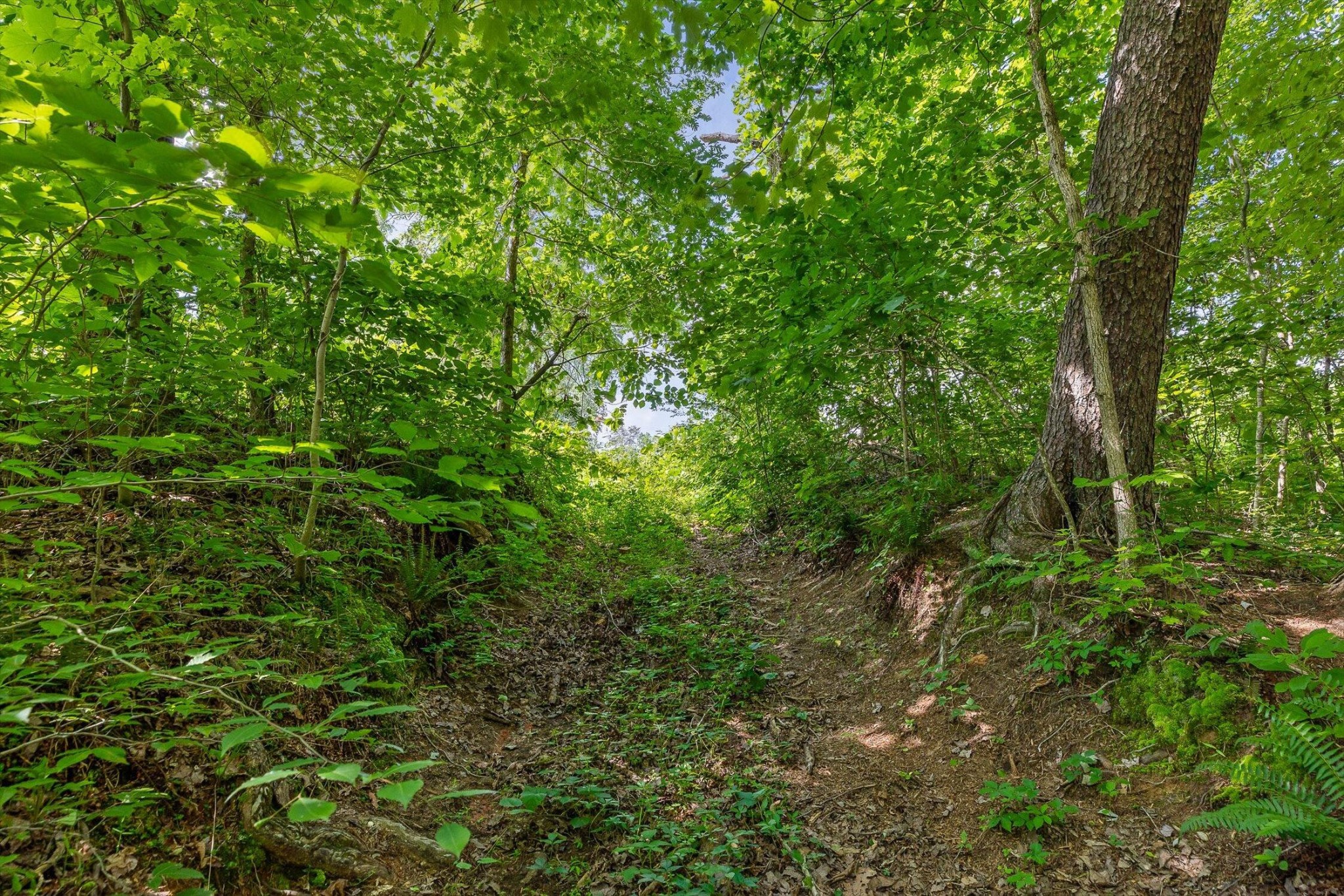 4300 Pocket Road Whitwell, TN 37397 - Photo 31 of 33