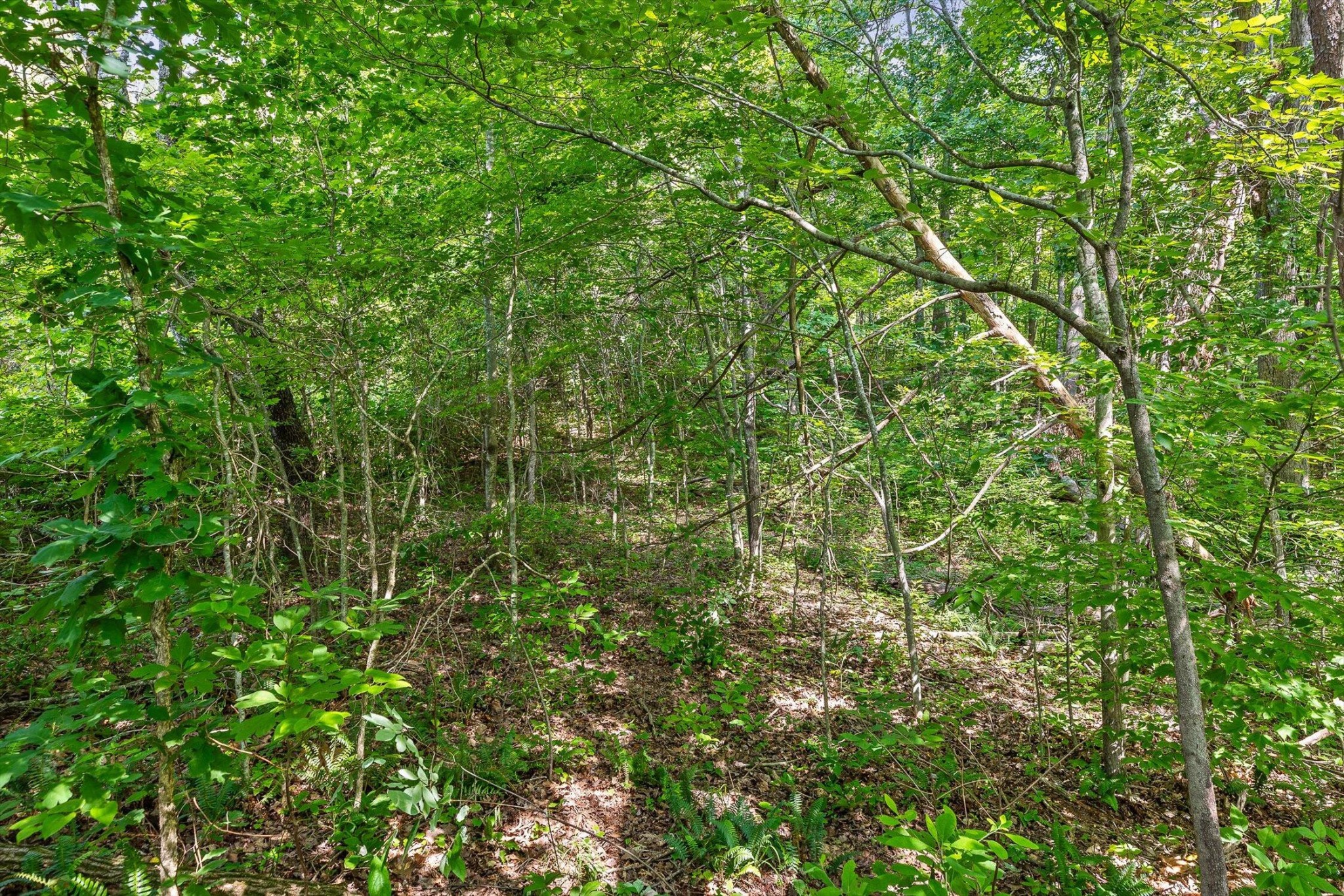 4300 Pocket Road Whitwell, TN 37397 - Photo 4 of 33