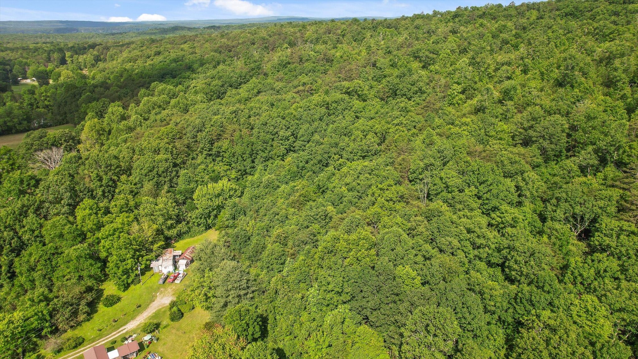 4300 Pocket Road Whitwell, TN 37397 - Photo 6 of 33