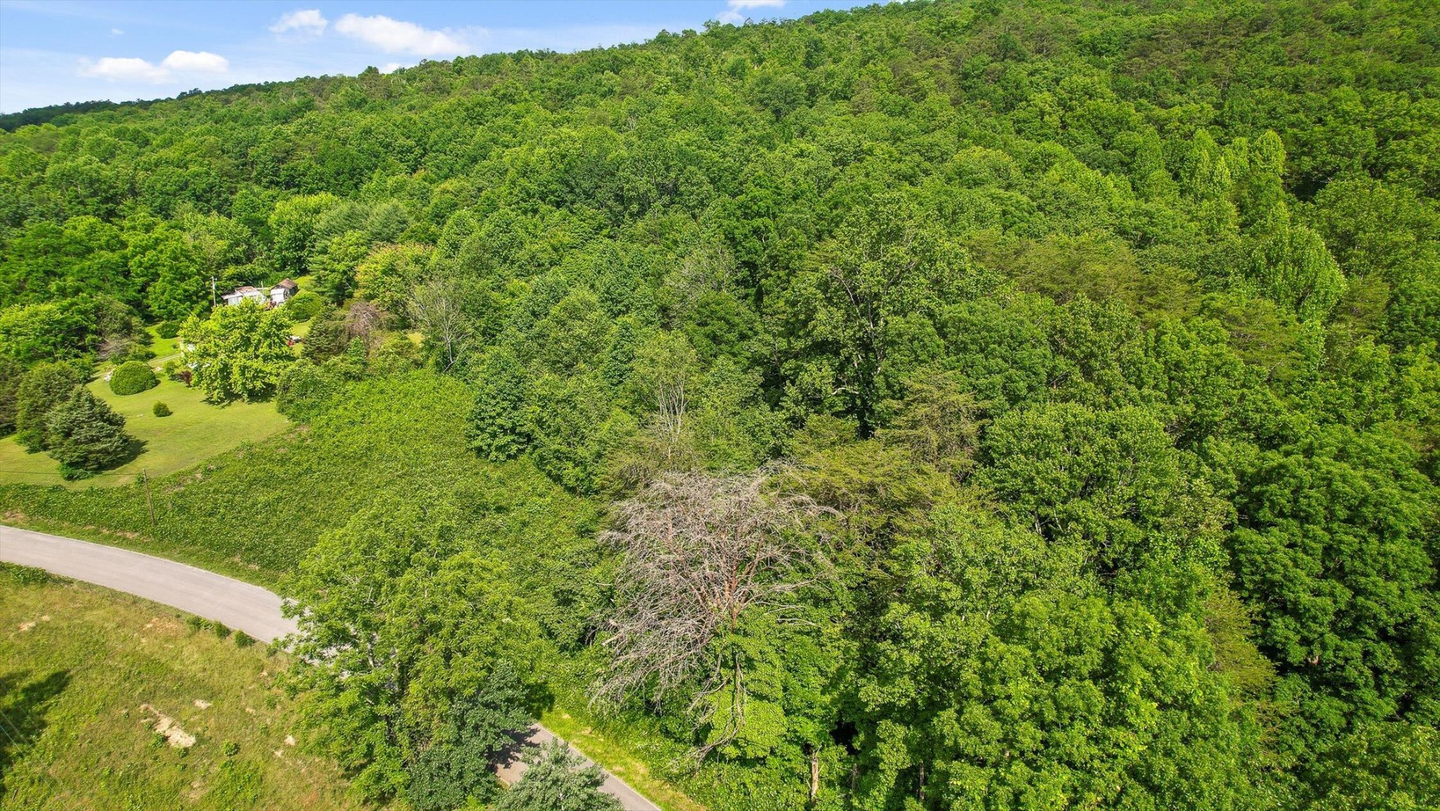 4300 Pocket Road Whitwell, TN 37397 - Photo 7 of 33