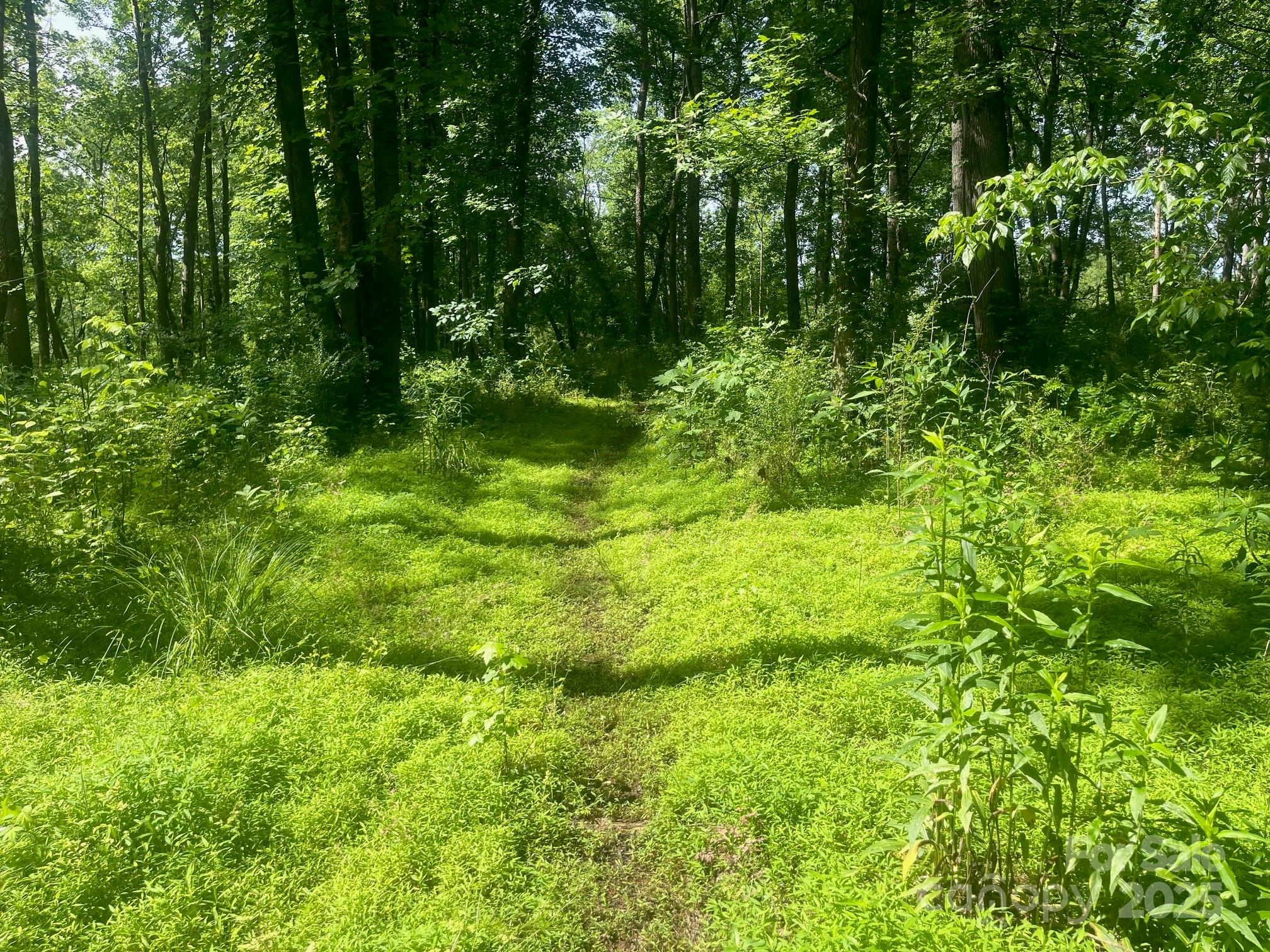 Lot 149 Lookout Dam Road Statesville, NC 28625 - Photo 2 of 8 a view of a lush green space