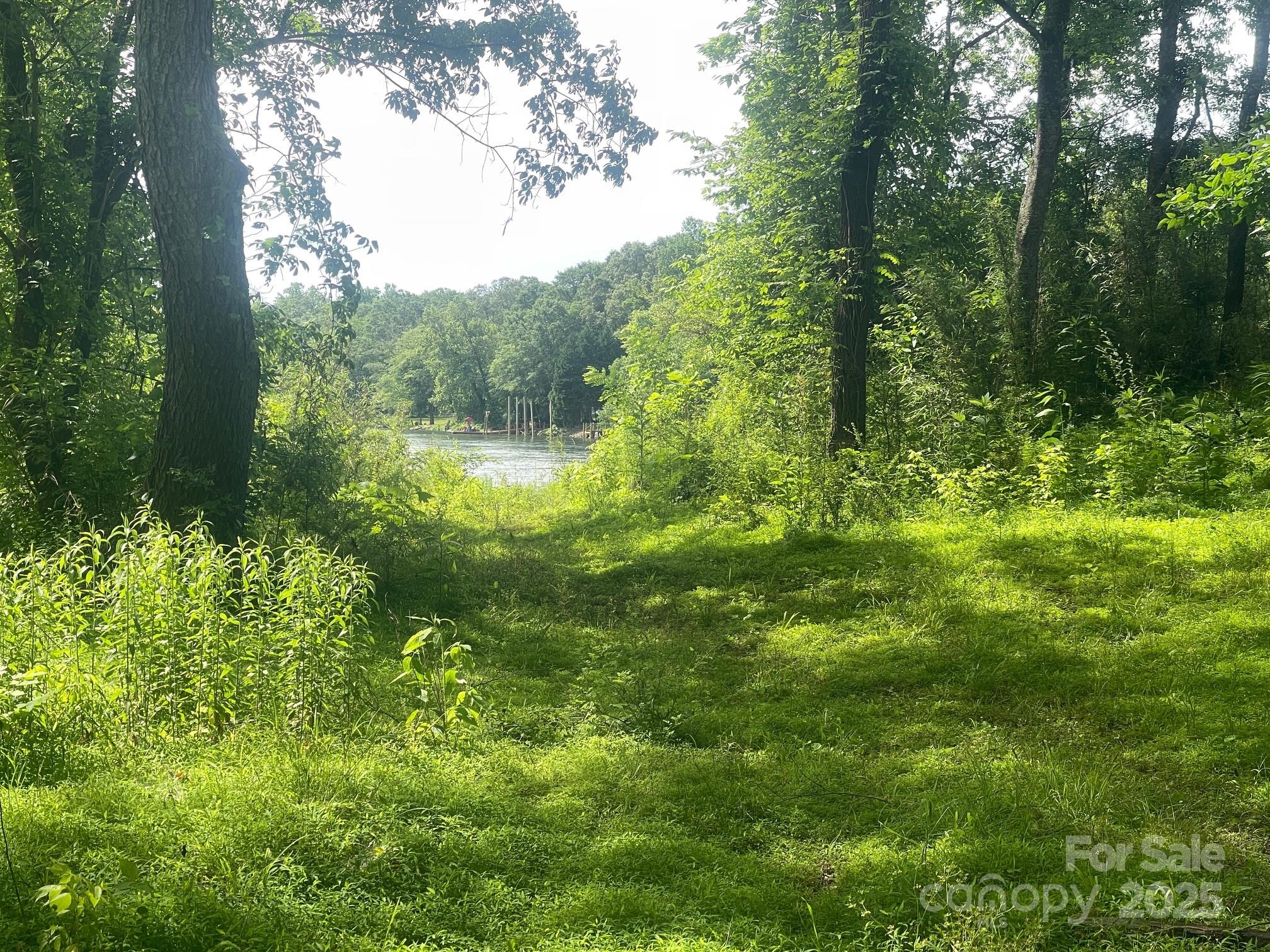 Lot 149 Lookout Dam Road Statesville, NC 28625 - Photo 6 of 8 a view of outdoor space and trees all around