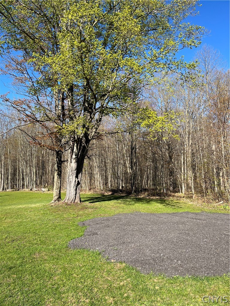 12920 Upton Road Victory, NY 13143 - Photo 3 of 12