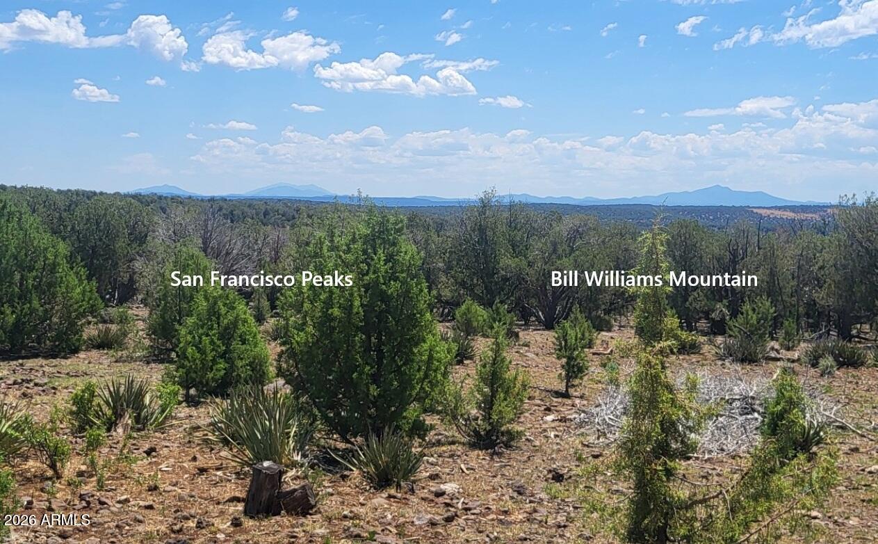 997 East Timberhill Road, Unit 997 Williams, AZ 86046 - Photo 13 of 22