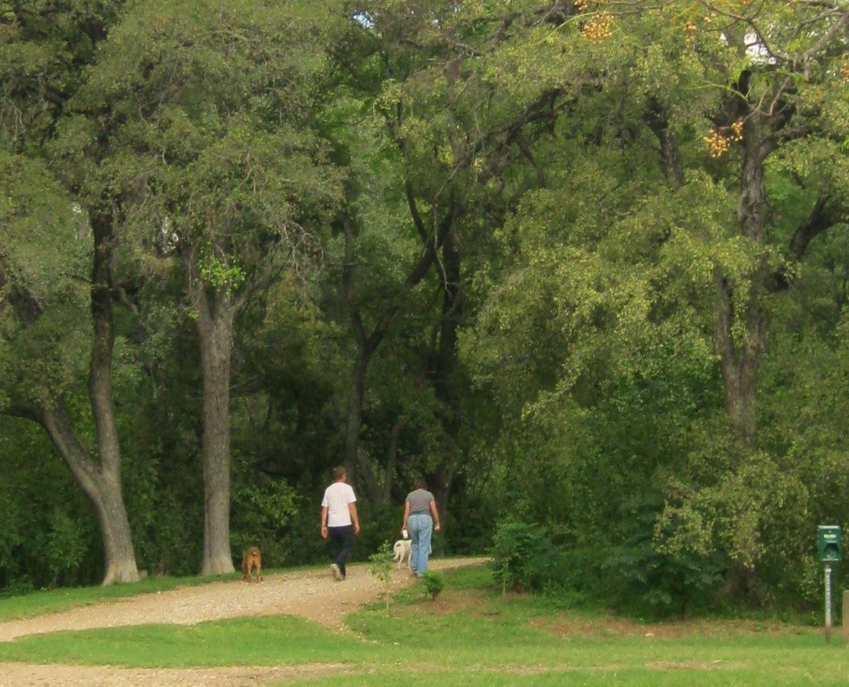 1914 West 38th Street Austin, TX 78731 - Photo 18 of 19 a backyard of a house with lots of green space and lake view
