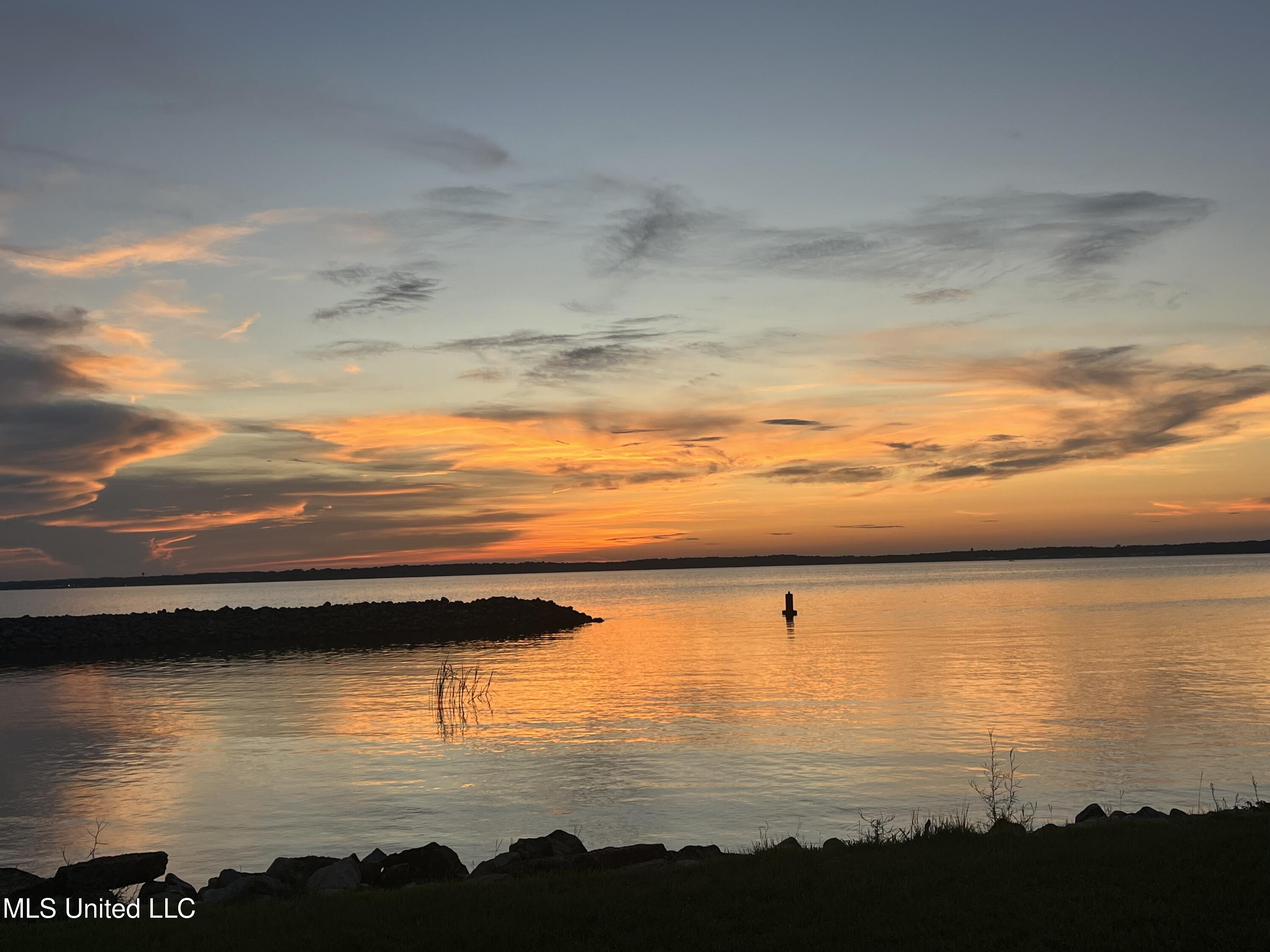 233 Arbor Trail Brandon, MS 39047 - Photo 61 of 61 IMG_7536