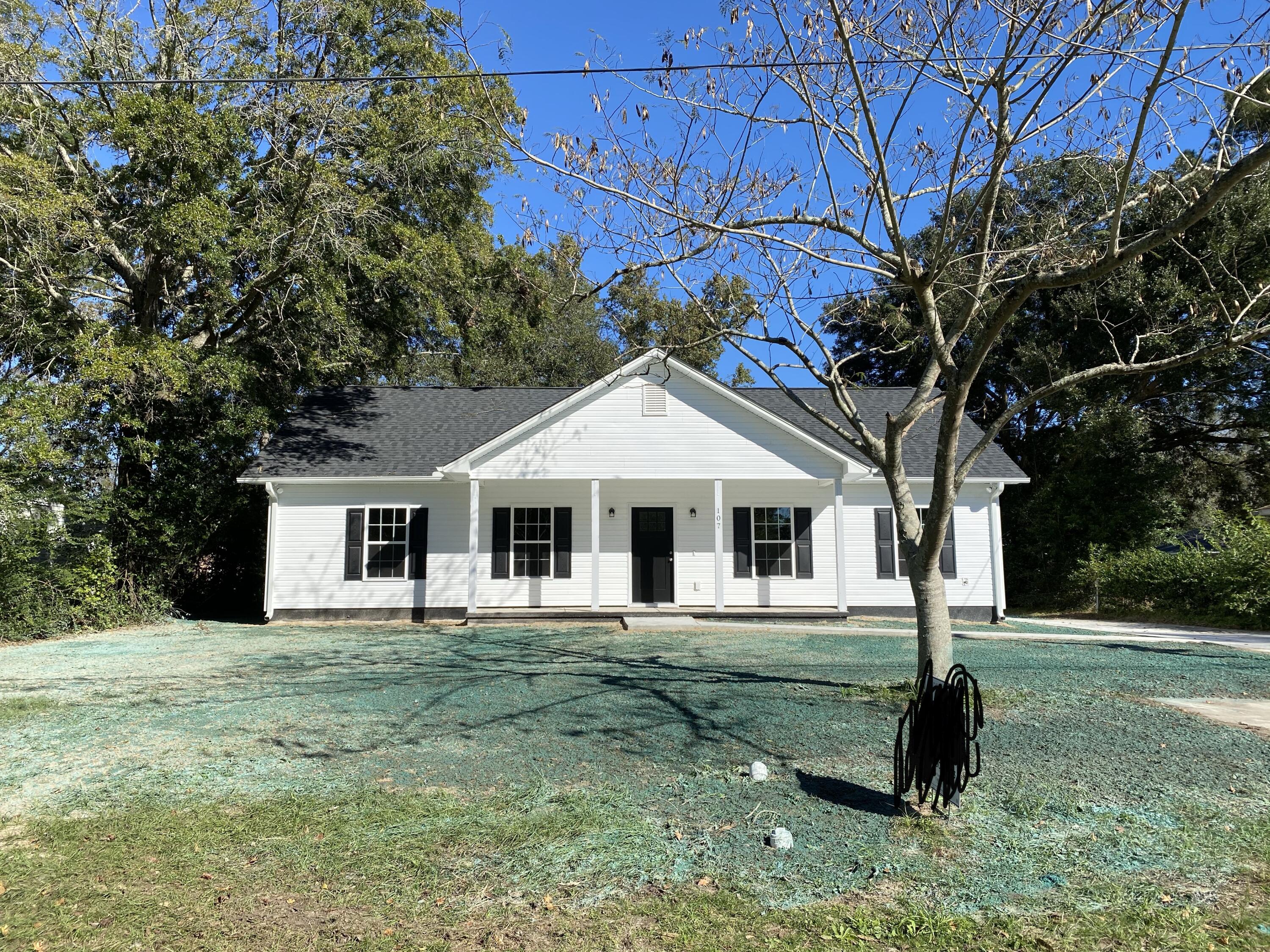 253 South Railroad Avenue Ridgeville, SC 29472 - Photo 1 of 15 Exterior