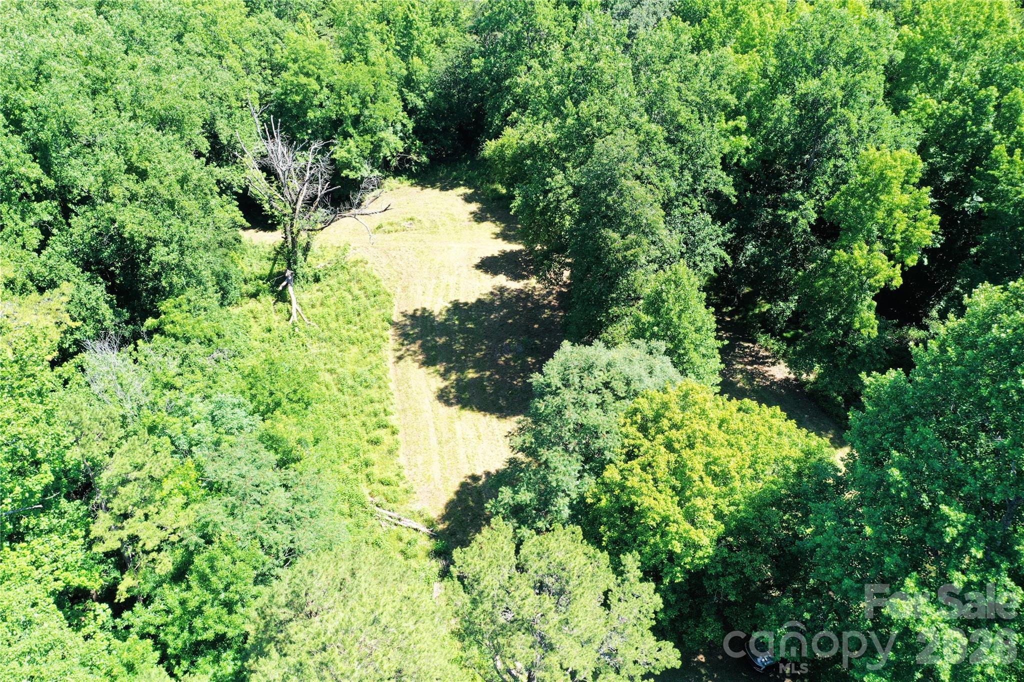 0 River Road Tryon, NC 28782 - Photo 4 of 30