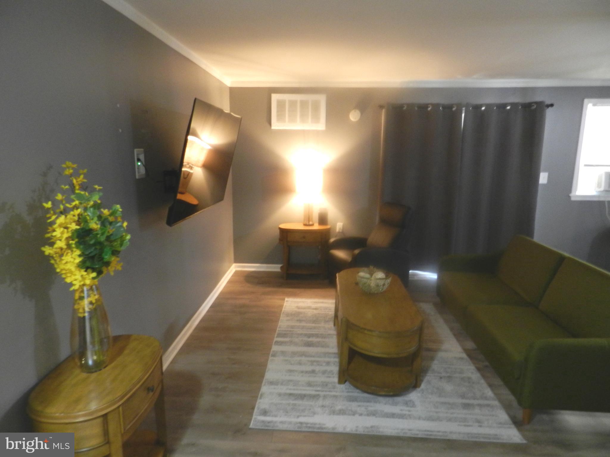 3714 Mayberry Avenue, Unit E Baltimore, MD 21206 - Photo 3 of 28 a living room with furniture and a potted plant