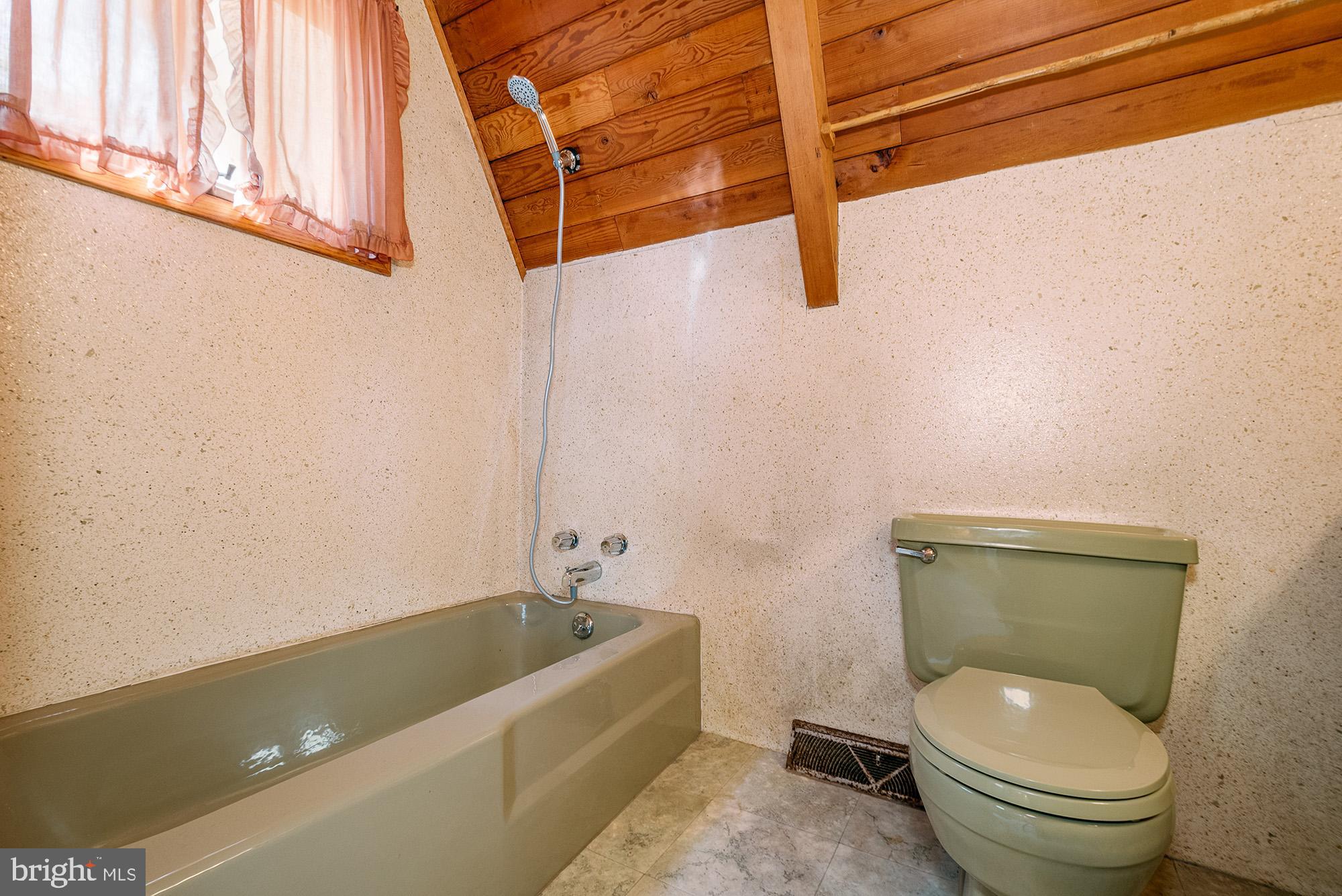 1723 Marsh Hill Road McHenry, MD 21541 - Photo 16 of 40 a bathroom with a toilet and a shower