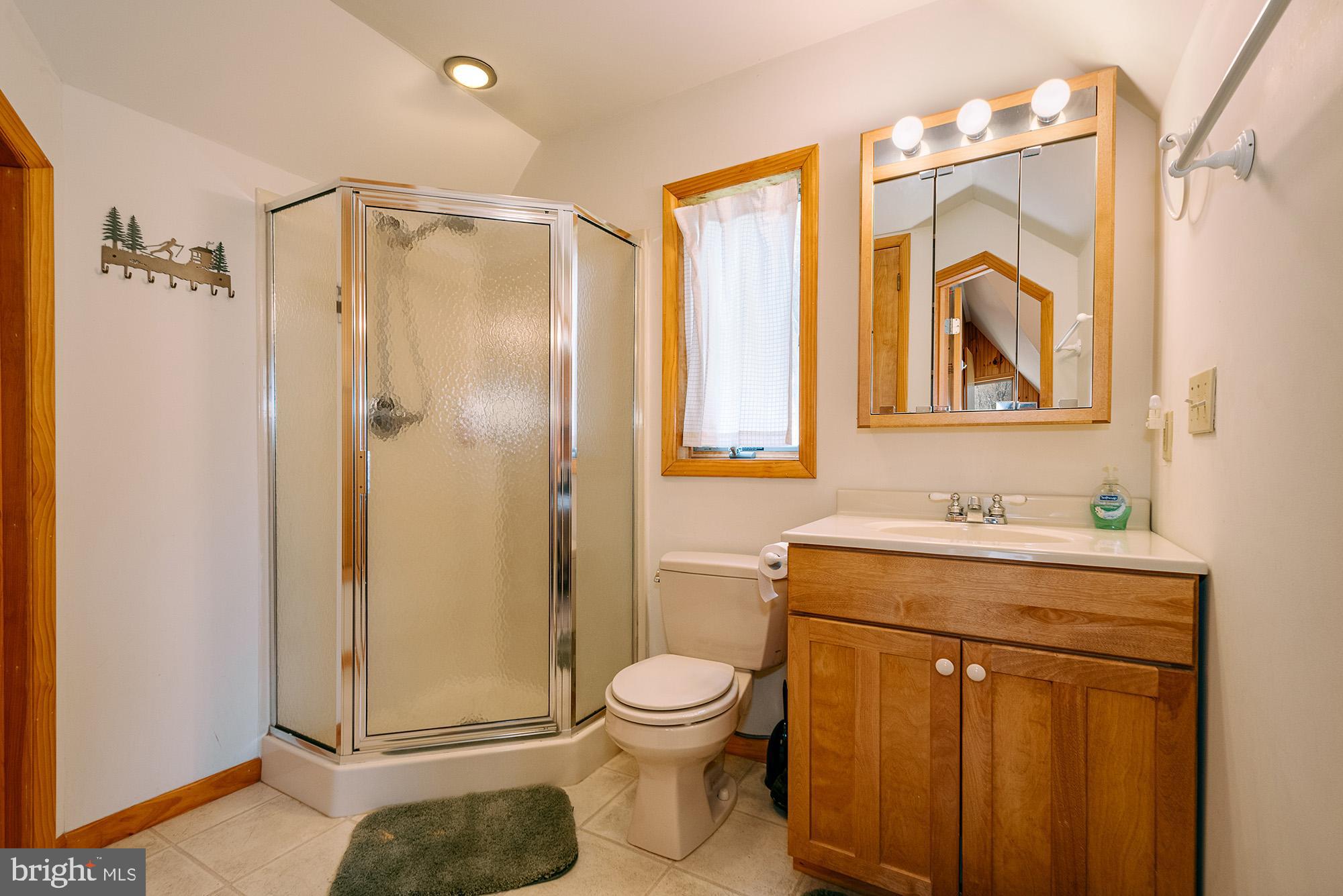 1723 Marsh Hill Road McHenry, MD 21541 - Photo 18 of 40 a bathroom with a granite countertop sink toilet and shower