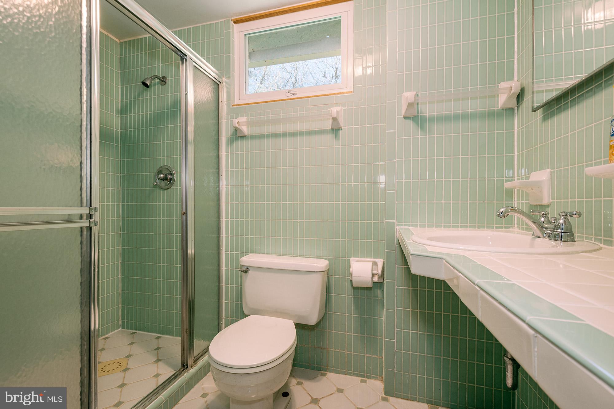 1723 Marsh Hill Road McHenry, MD 21541 - Photo 19 of 40 a bathroom with a sink a toilet and shower