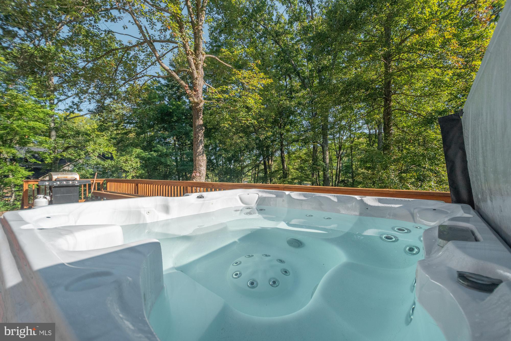 1723 Marsh Hill Road McHenry, MD 21541 - Photo 25 of 40 a view of a tub