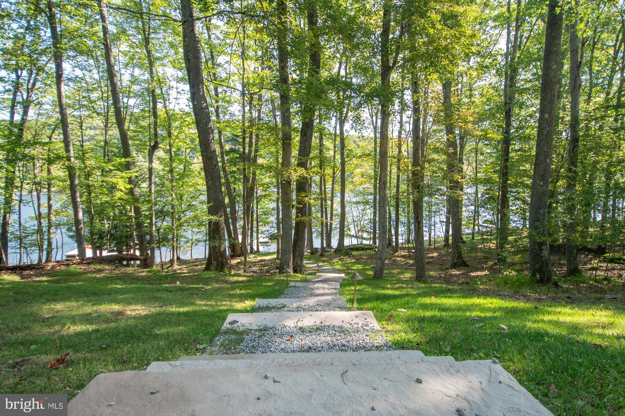 1723 Marsh Hill Road McHenry, MD 21541 - Photo 33 of 40 a garden view with tall trees