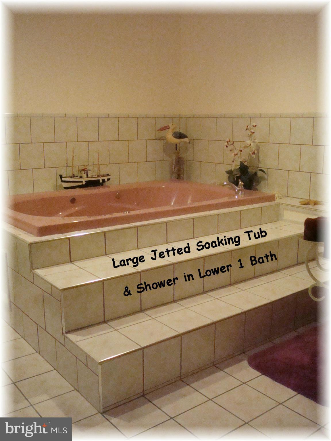 9010 Throgmorton Road Baltimore, MD 21234 - Photo 26 of 30 Lower level 1 full bath w/soaking tub & shower.