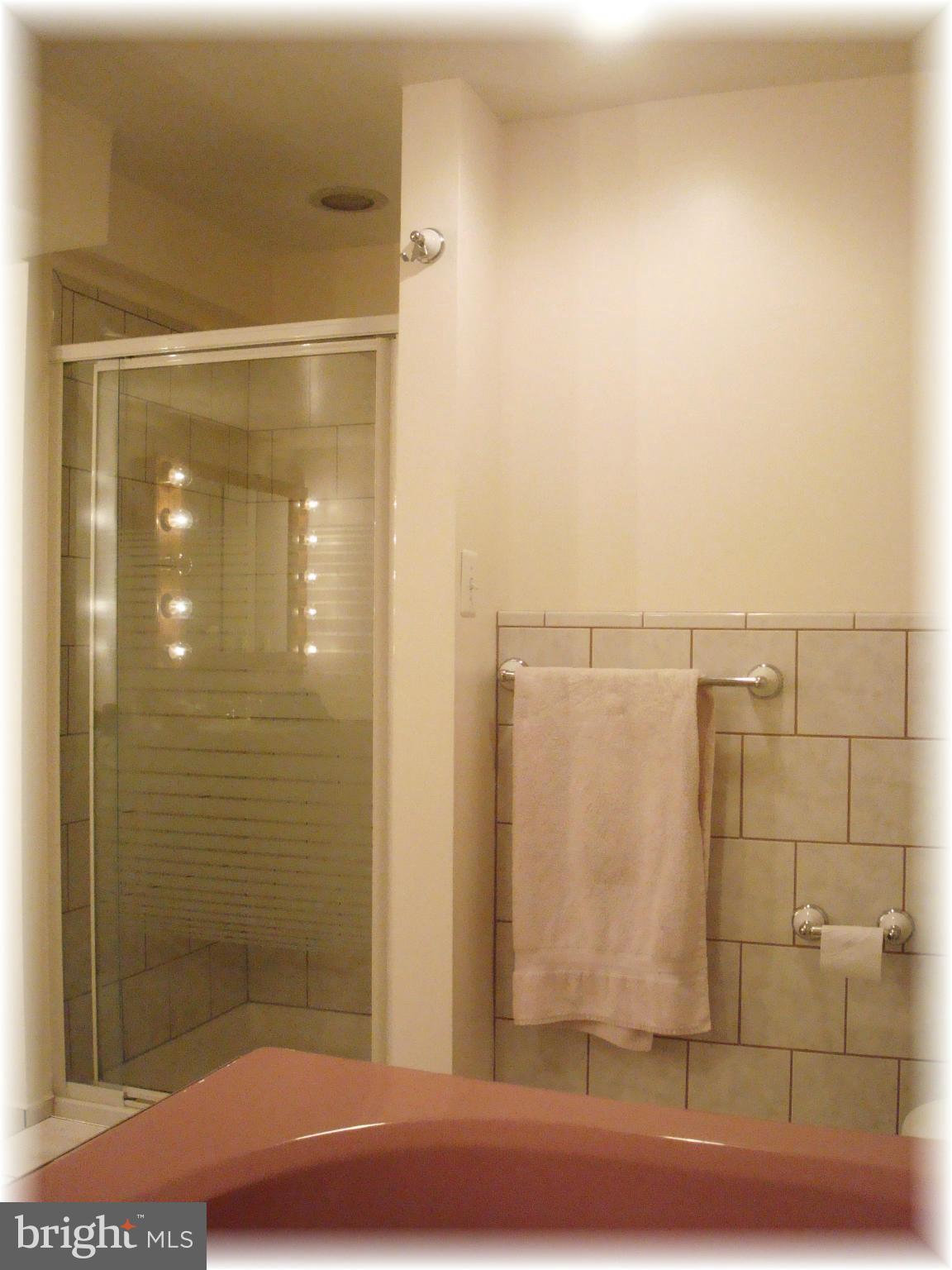 9010 Throgmorton Road Baltimore, MD 21234 - Photo 27 of 30 Lower level 1 separate walk-in shower.