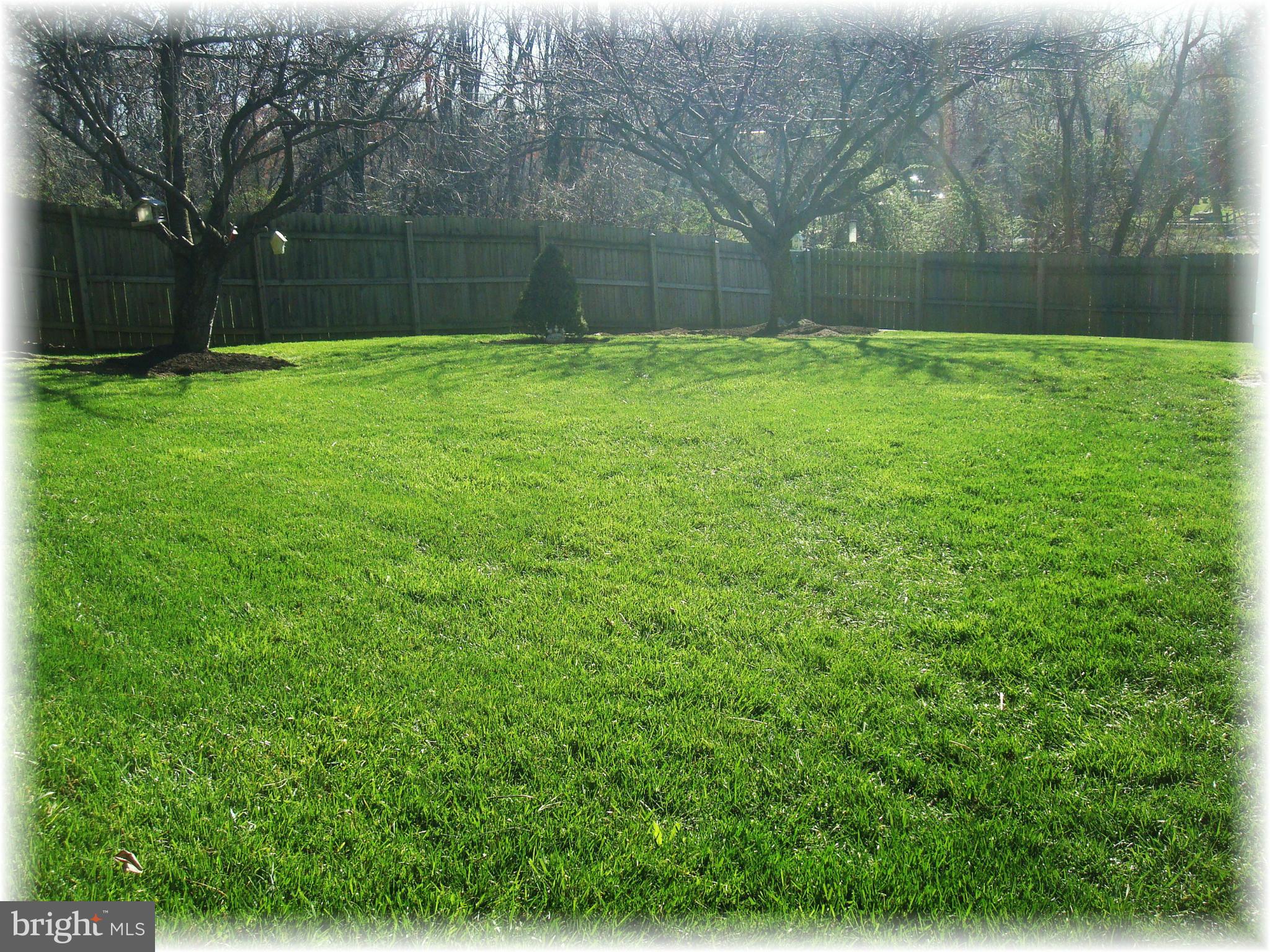 9010 Throgmorton Road Baltimore, MD 21234 - Photo 5 of 30 Tons of space for outdoor fun in your fenced yard.