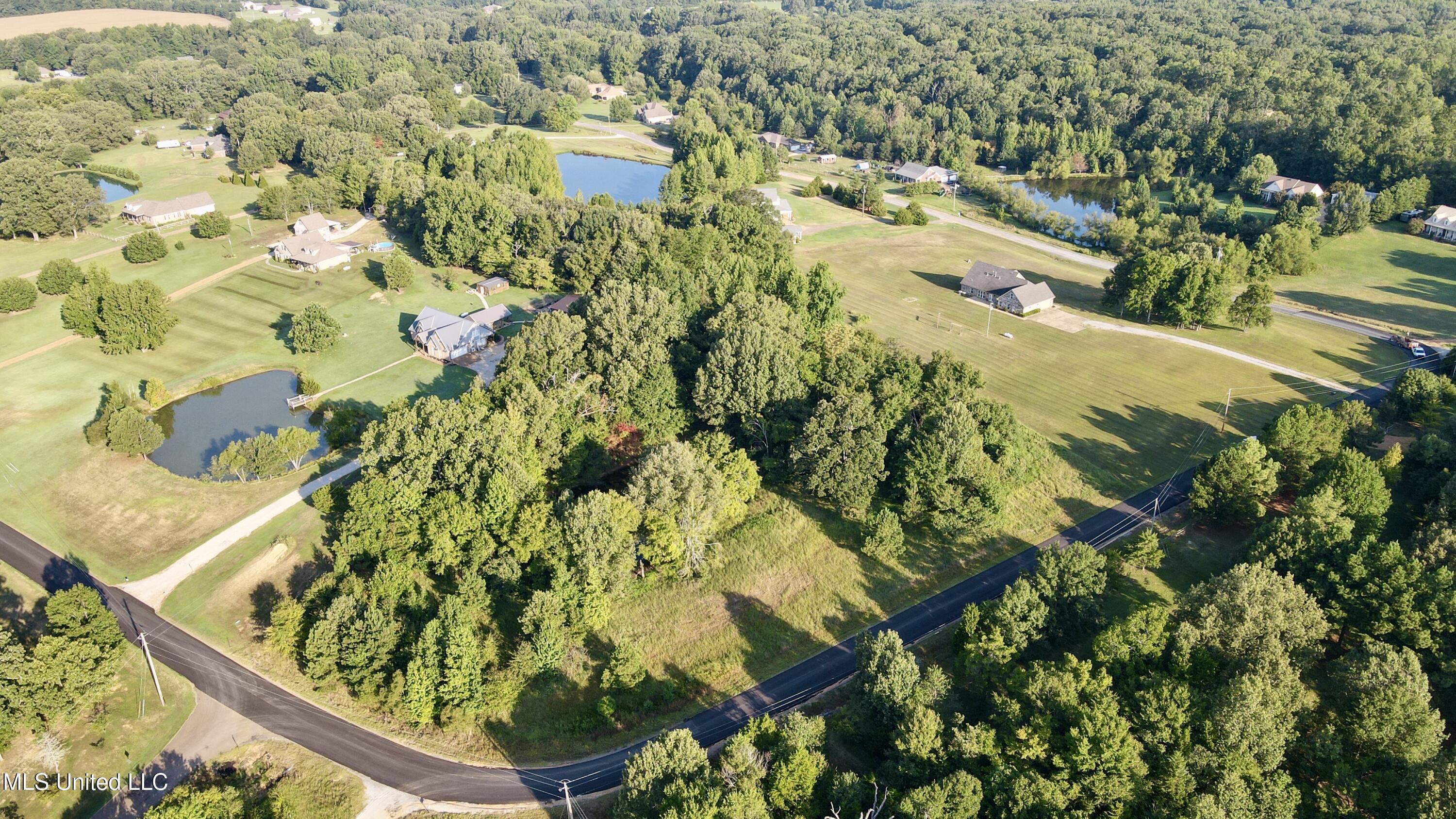 38 Golden Pond Circle Coldwater, MS 38618 - Photo 2 of 5 B