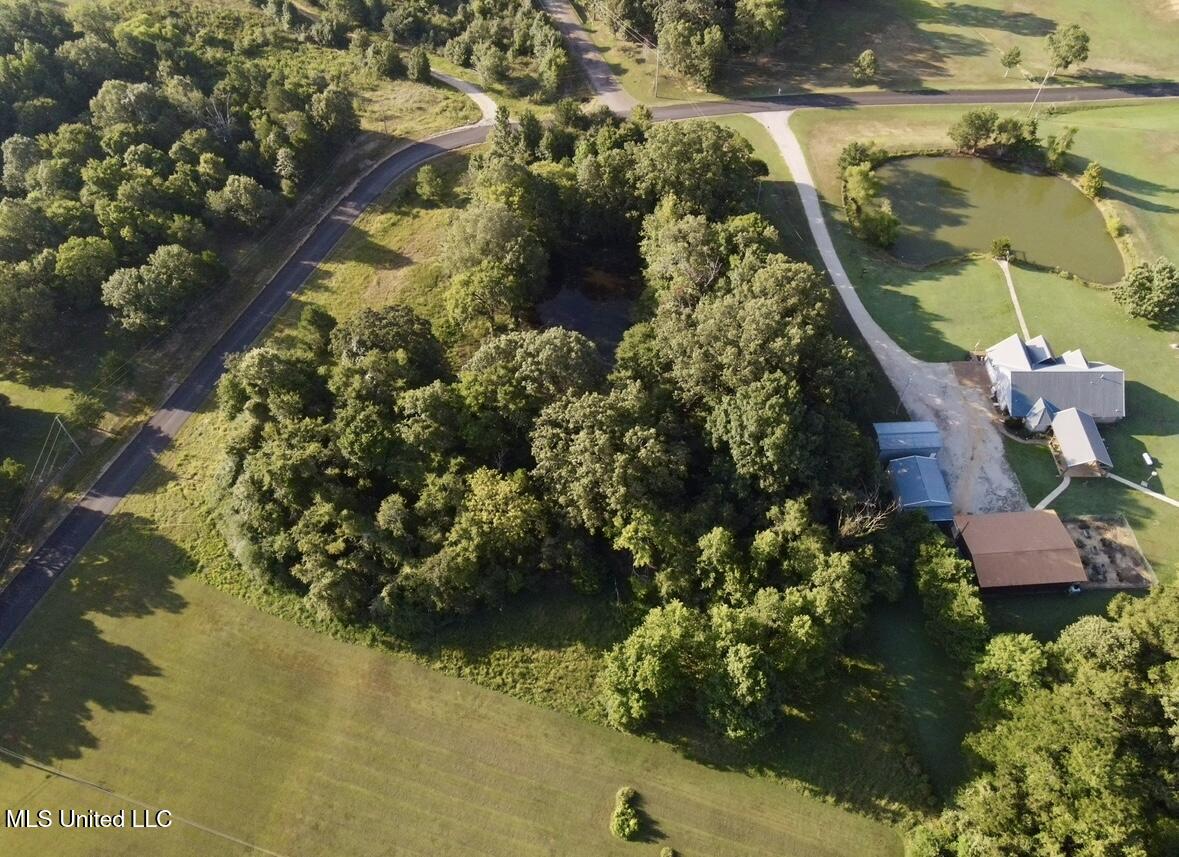 38 Golden Pond Circle Coldwater, MS 38618 - Photo 4 of 5 IMG_2818