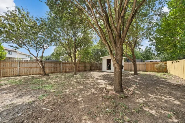 a view of a yard with large tree