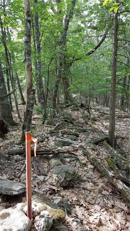 496 North Dixmont Road Troy, ME 04987 - Photo 33 of 35 Photo