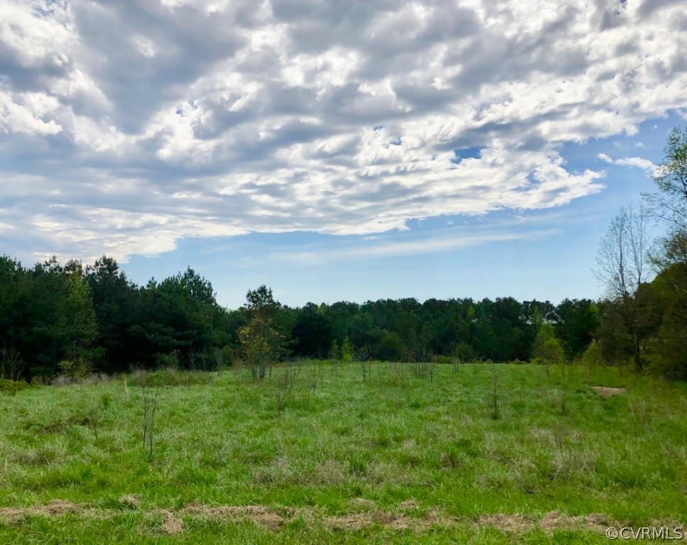 0 Redlawn Road Bracey, VA 23919 - Photo 1 of 50 Gallery Image 1
