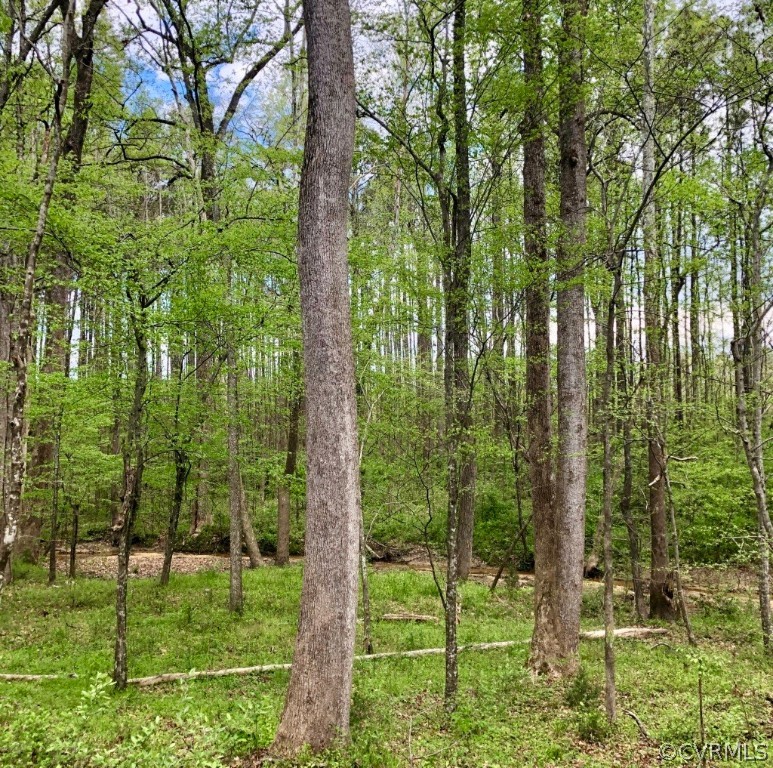 0 Redlawn Road Bracey, VA 23919 - Photo 27 of 50 Gallery Image 27