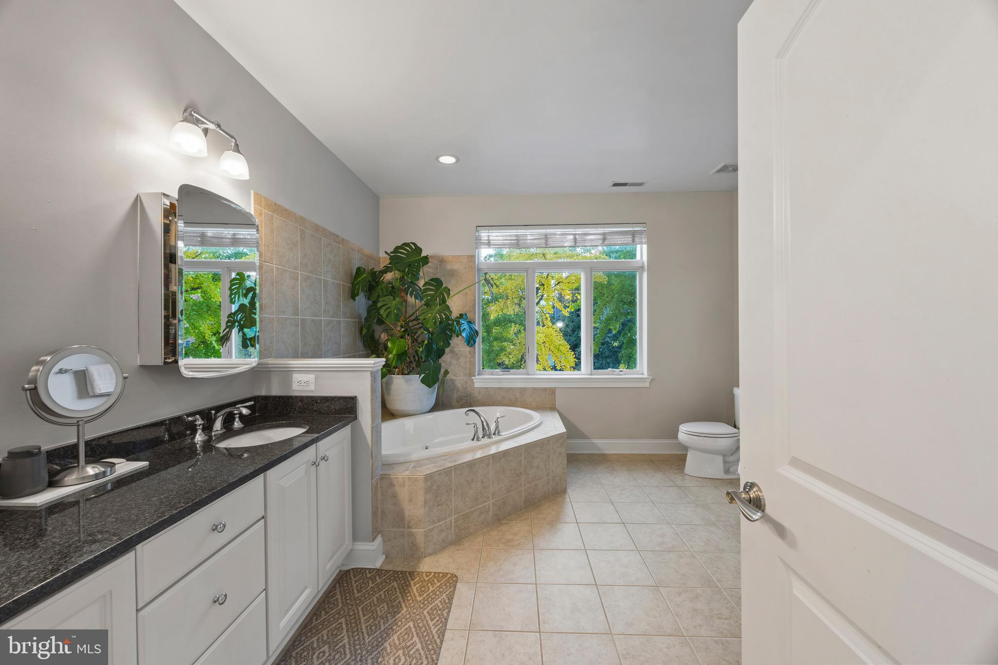 900 Valencia Court, Unit 188 Baltimore, MD 21230 - Photo 35 of 62 a spacious bathroom with a granite countertop sink and a mirror
