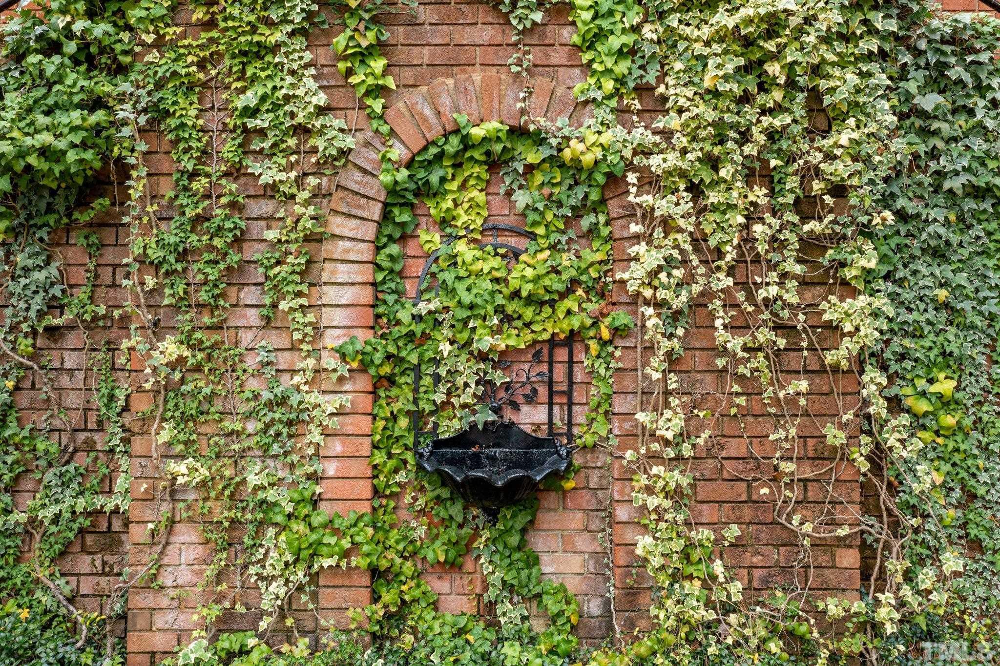 3101 Cornwall Road Durham, NC 27707 - Photo 4 of 30 a backyard of a house with a tree