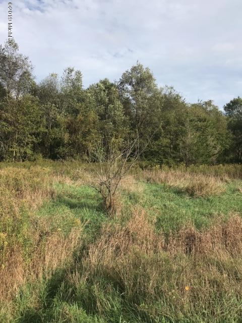 Anderson Road Litchfield, MI 49252 - Photo 2 of 5 IMG_9341