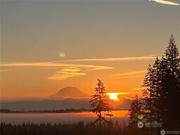 381 East Benson Ridge Road Grapeview, WA 98546 - Photo 37 of 37