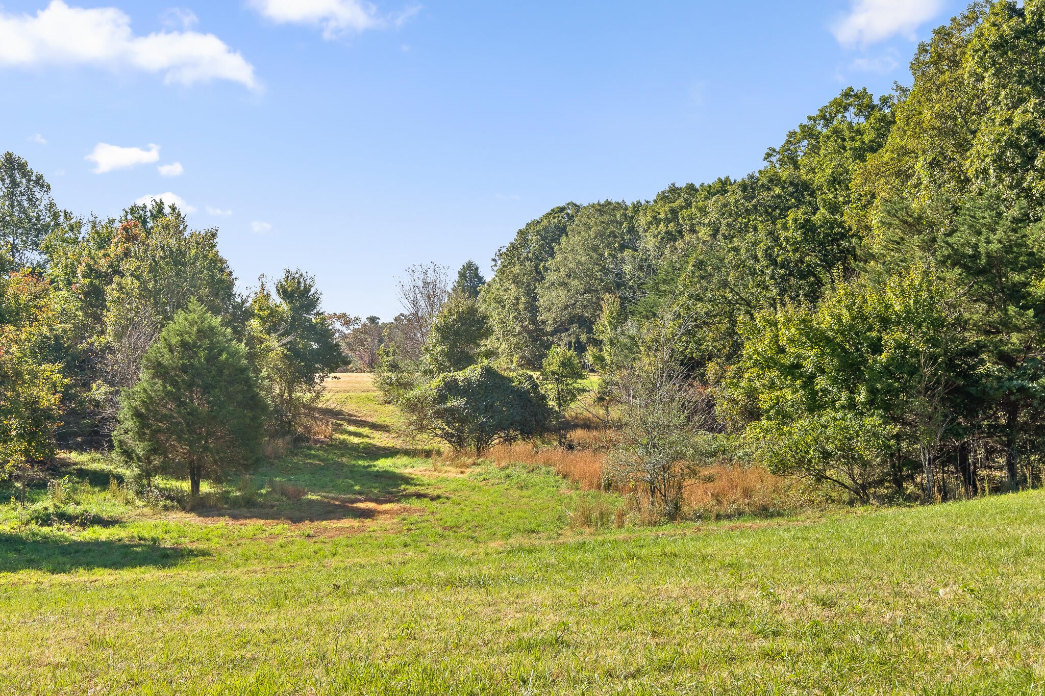 0 North Moore Road Rising Fawn, GA 30738 - Photo 1 of 30 Gallery Image 1
