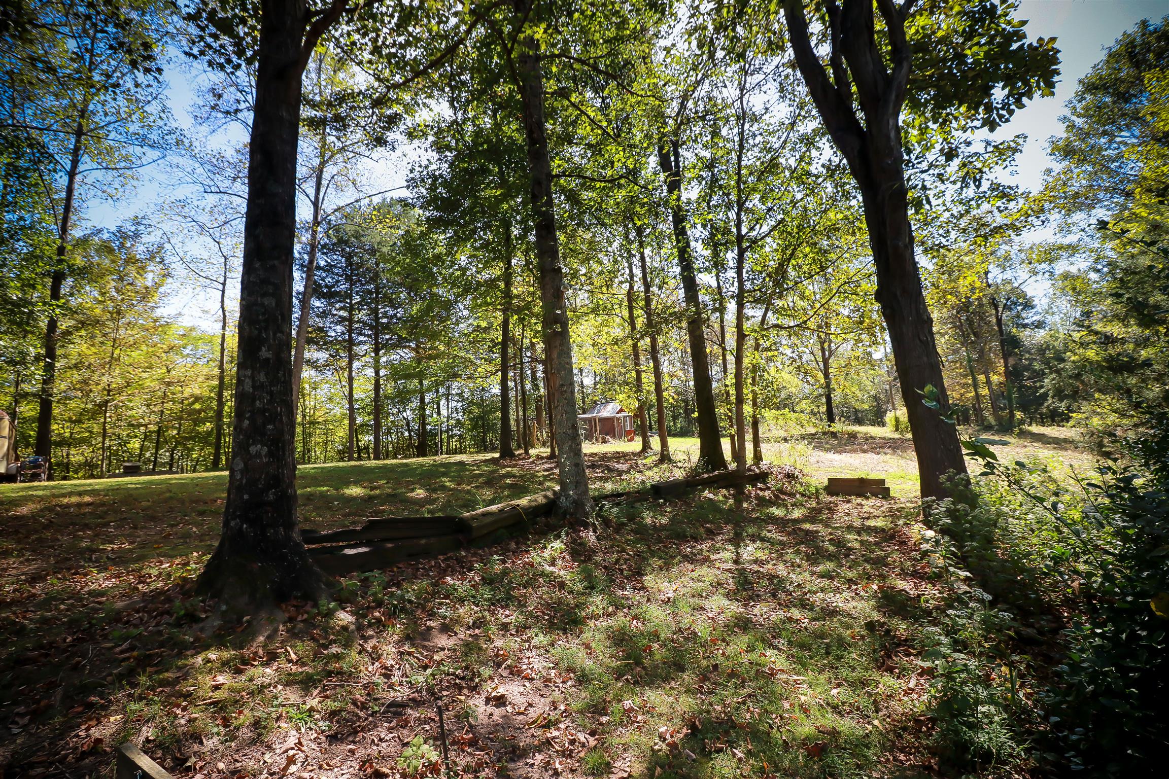 4639 Cathey Ridge Road Manchester, TN 37355 - Photo 20 of 30 a view of a forest with trees