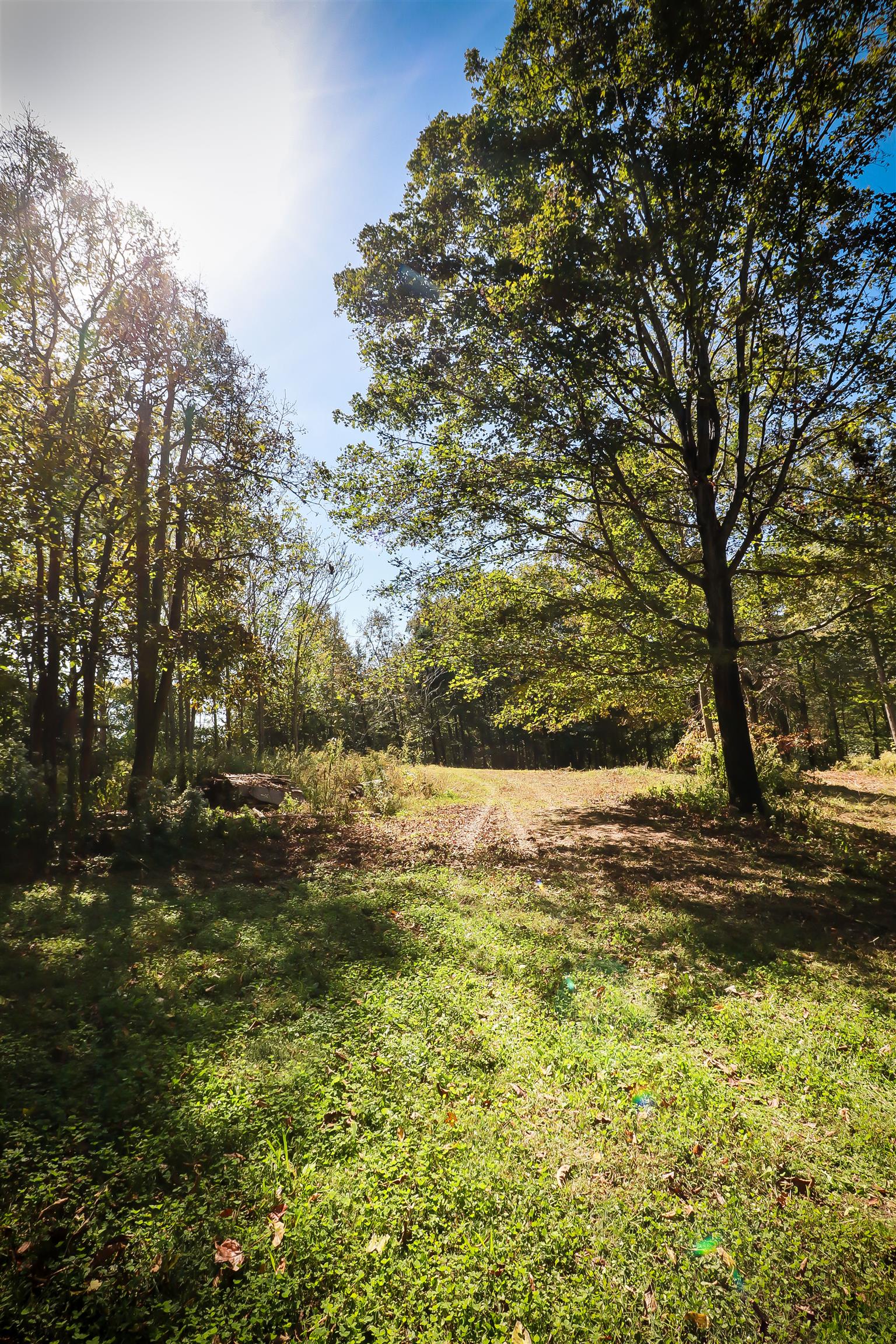4639 Cathey Ridge Road Manchester, TN 37355 - Photo 24 of 30 a view of a yard