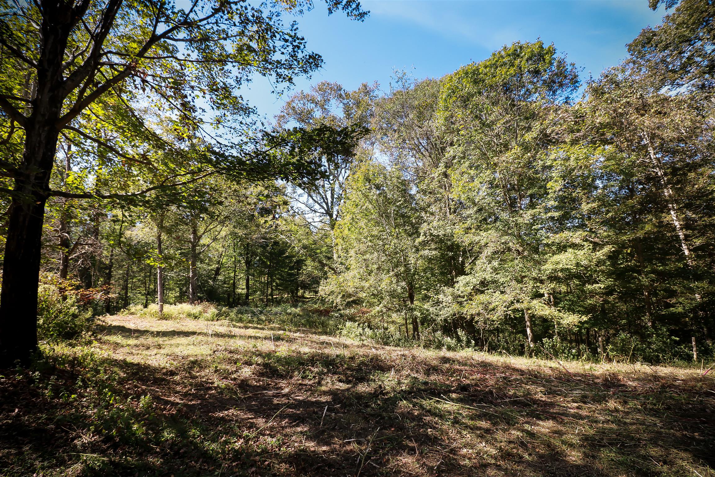 4639 Cathey Ridge Road Manchester, TN 37355 - Photo 27 of 30