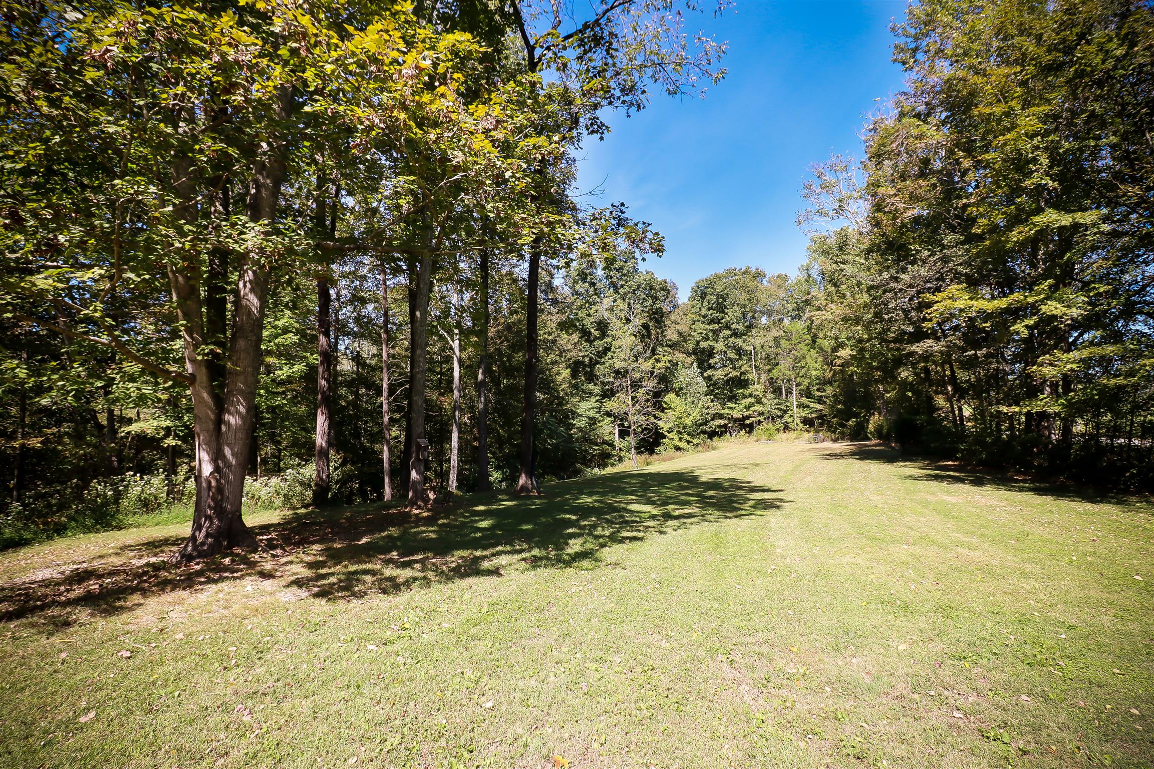 4639 Cathey Ridge Road Manchester, TN 37355 - Photo 10 of 30 a view of a yard with large trees