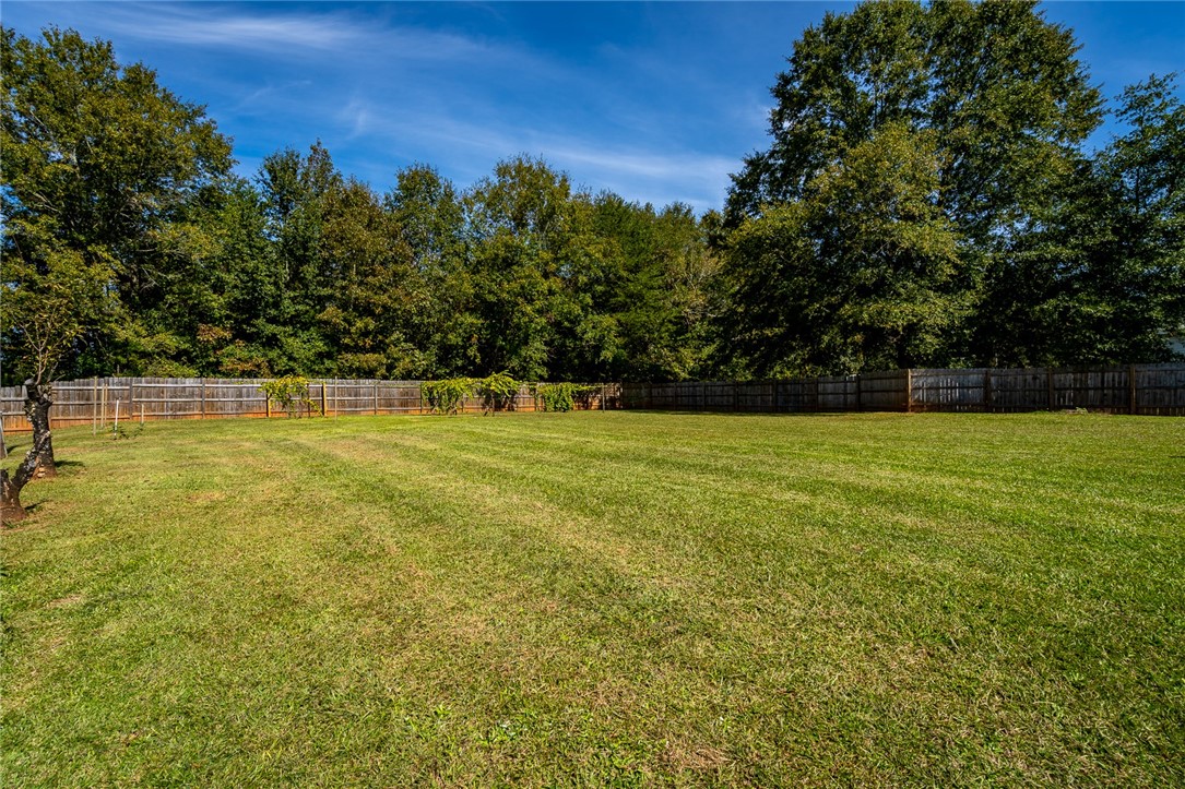 300 Eastview Road Pelzer, SC 29669 - Photo 20 of 28