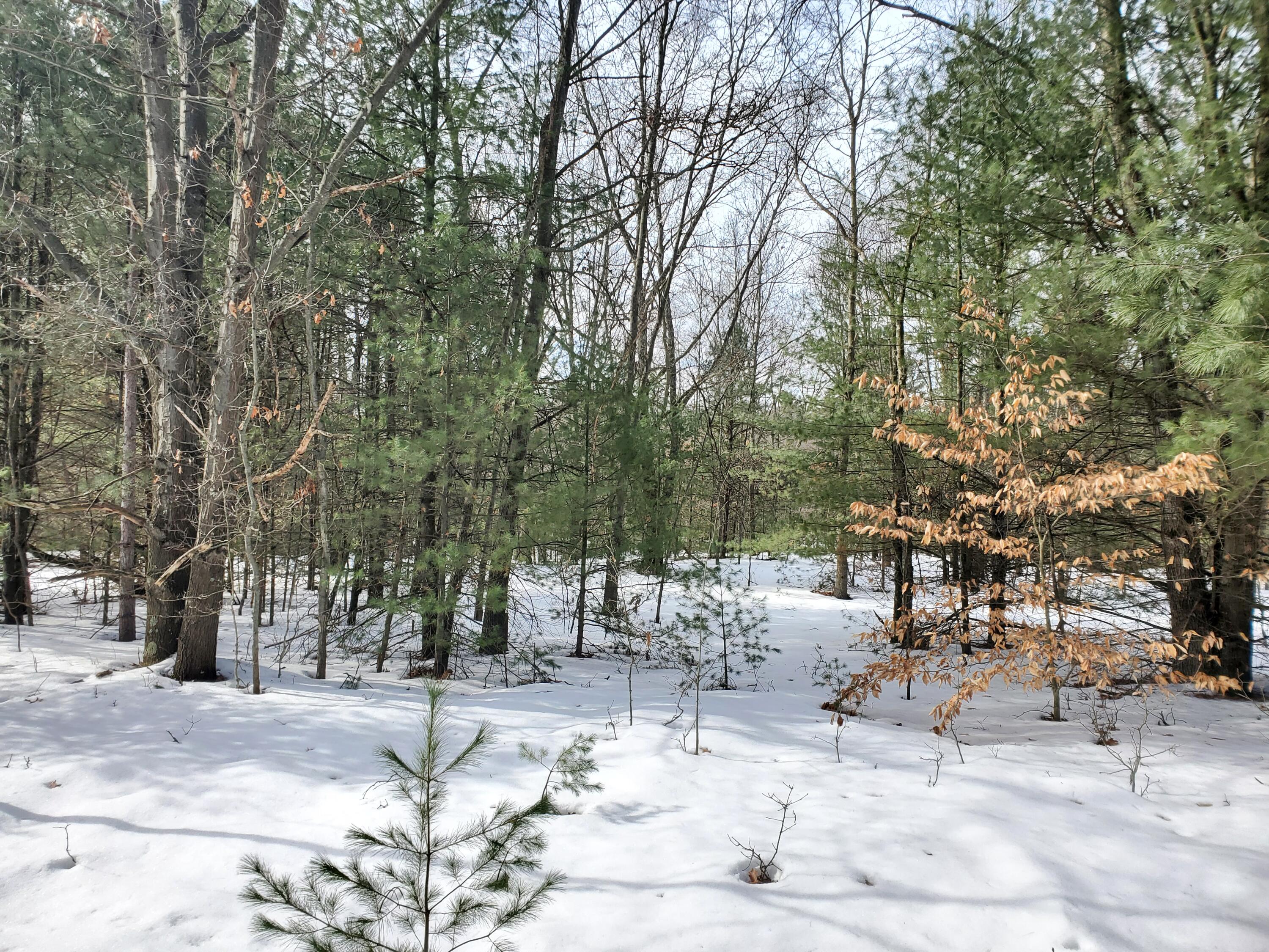 0 Russell Road Muskegon, MI 49445 - Photo 6 of 10 20220303_110252