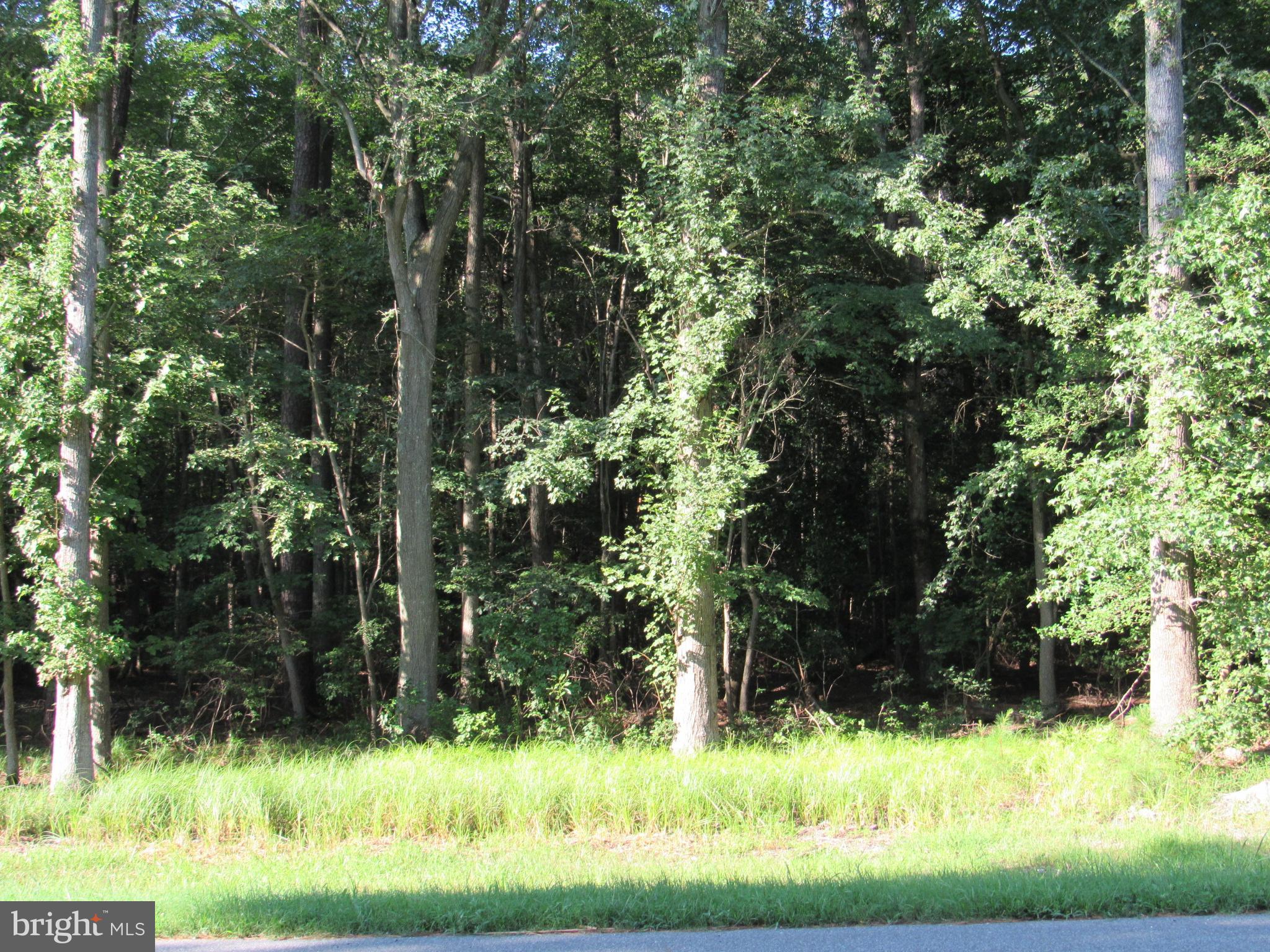 Asketum Branch Road Georgetown, DE 19947 - Photo 2 of 7 Gallery Image 2