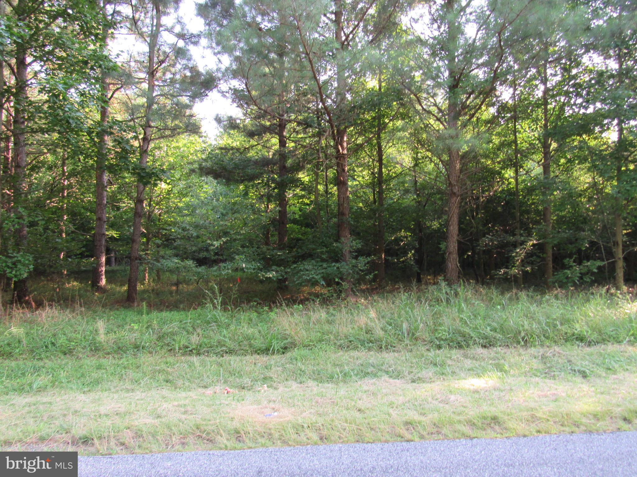 Asketum Branch Road Georgetown, DE 19947 - Photo 4 of 7 Gallery Image 4