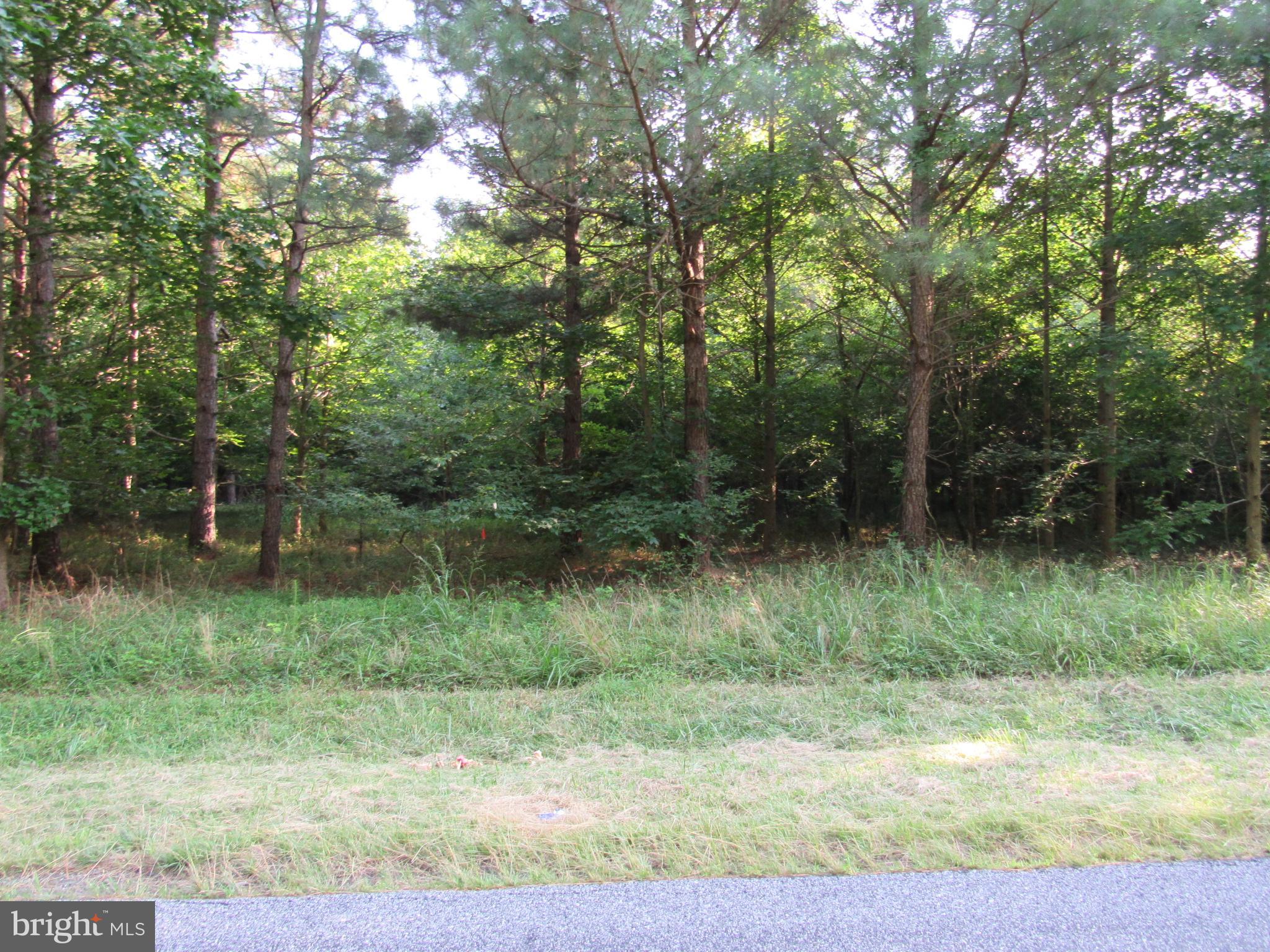 Asketum Branch Road Georgetown, DE 19947 - Photo 6 of 7 Gallery Image 6