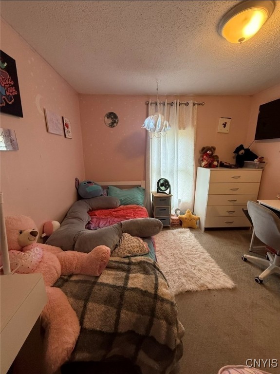 2390 Peck Road Marshall, NY 13480 - Photo 22 of 26