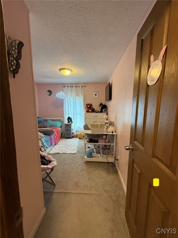 2390 Peck Road Marshall, NY 13480 - Photo 23 of 26