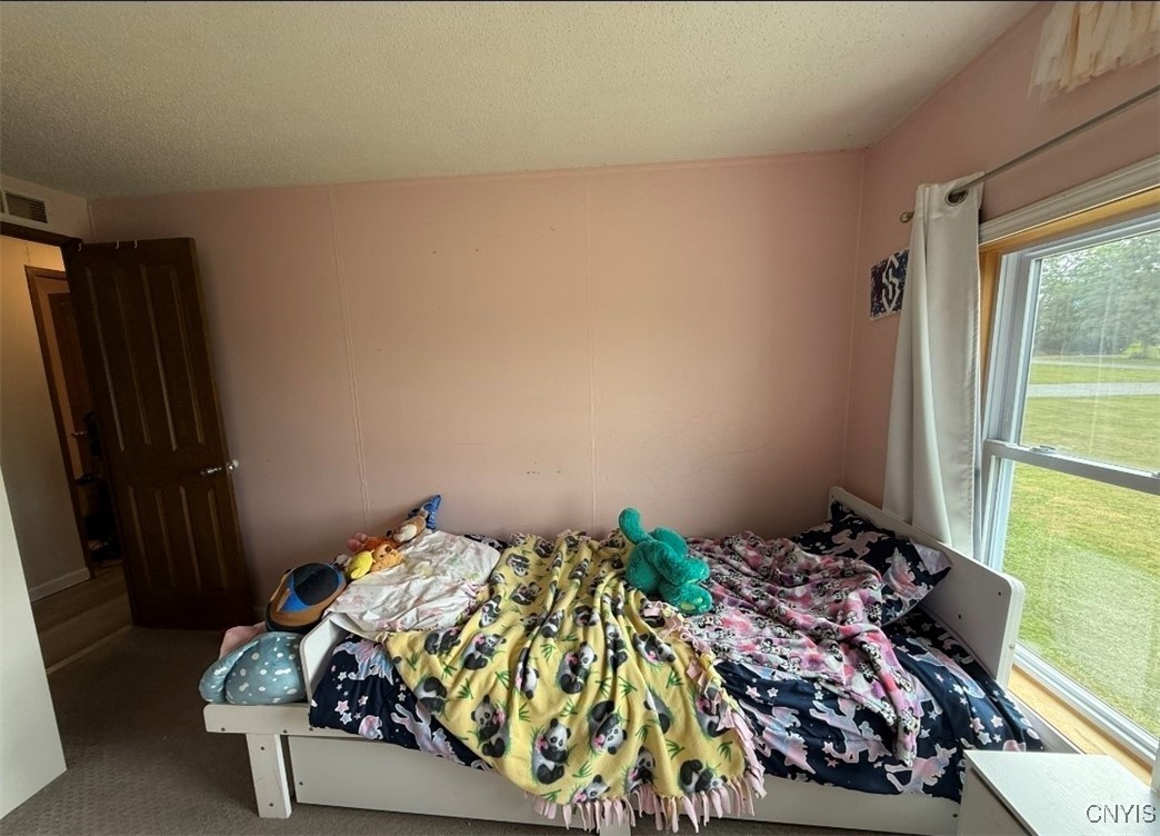 2390 Peck Road Marshall, NY 13480 - Photo 25 of 26