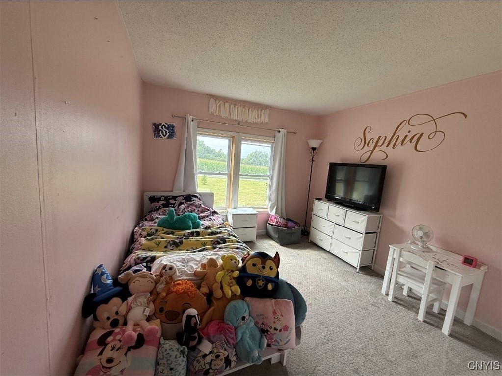 2390 Peck Road Marshall, NY 13480 - Photo 26 of 26