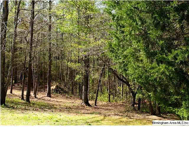 335 Cove Shocco Road Talladega, AL 35160 - Photo 14 of 24