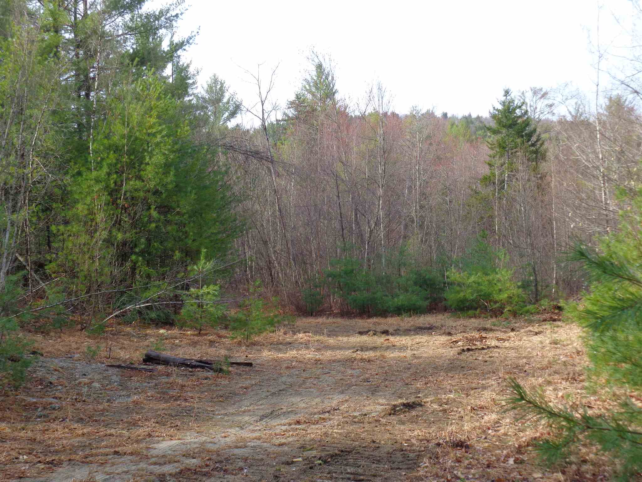 Lot 54 School Pond Road, Unit 54 Danbury, NH 03230 - Photo 13 of 16 Gallery Image 13
